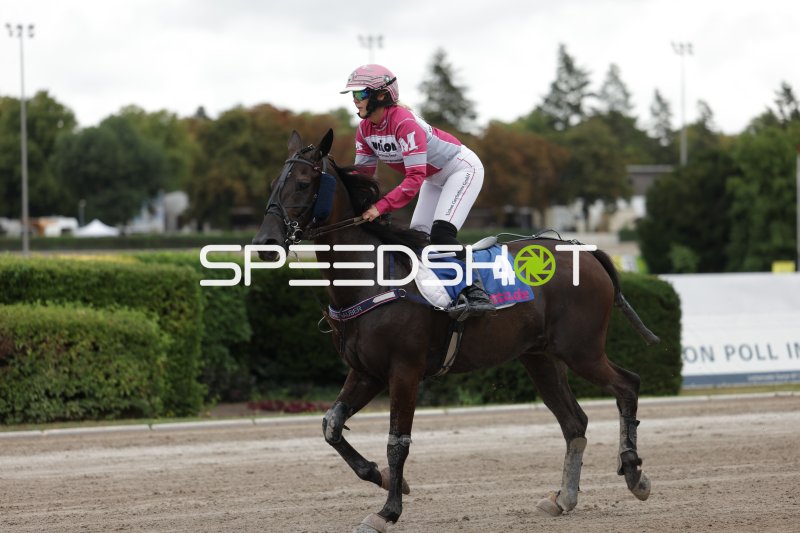 Jockey auf Startnummer 4 galoppiert über die Sandbahn in Mariendorf