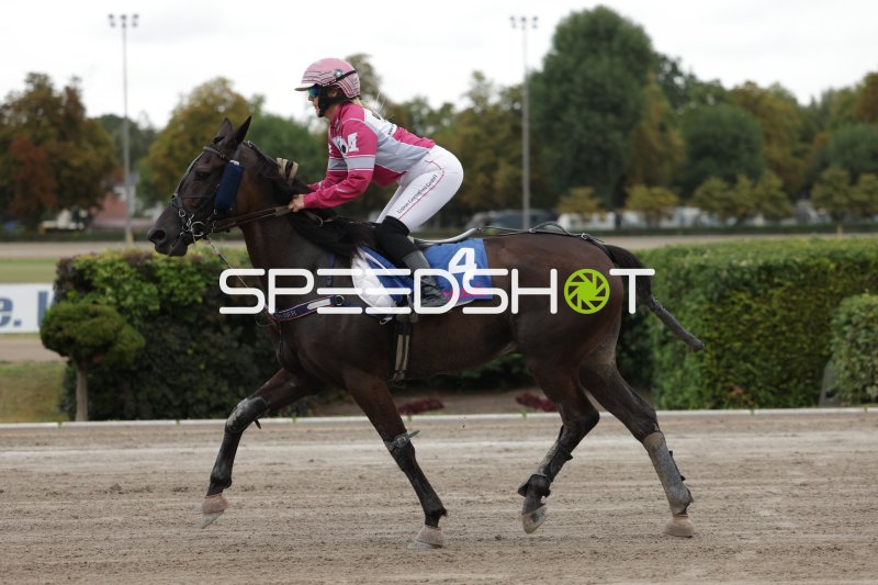Jockey mit Startnummer 4 auf der Rennbahn Berlin Mariendorf