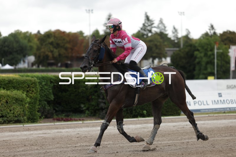 Jockey (#4) im Galopp auf der Rennbahn Berlin Mariendorf