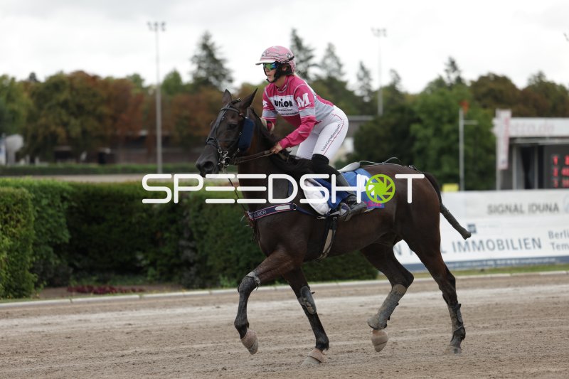 Jockey auf Pferd #4 im Galopp auf der Rennbahn Berlin Mariendorf