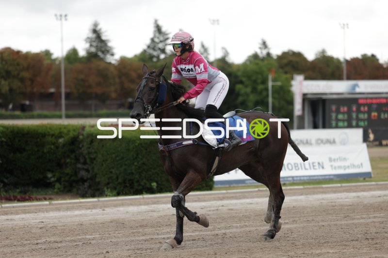 Jockey auf Pferd #4 im Galopp auf der Rennbahn Berlin Mariendorf