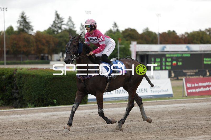 Jockey auf Pferd #4 im Galopp auf der Rennbahn Berlin Mariendorf