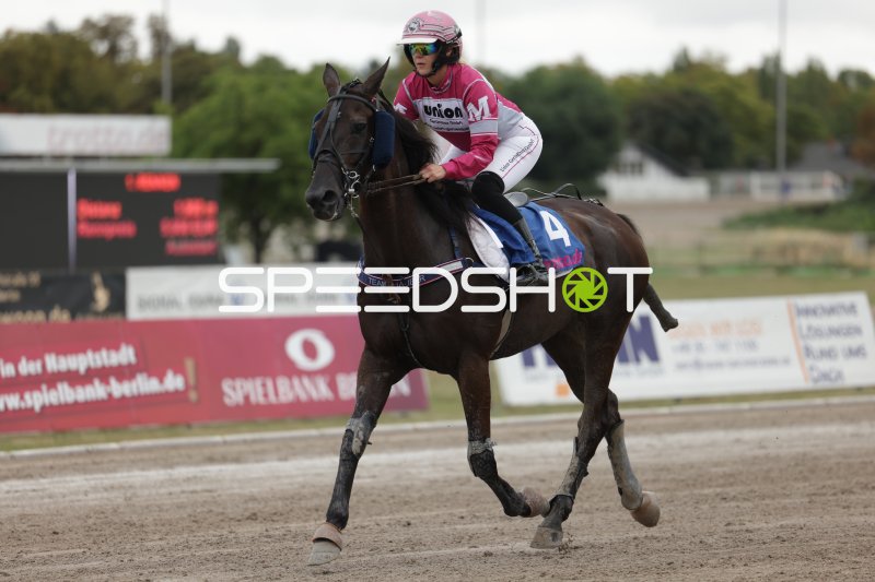 Jockey auf Pferd #4 im Galopp auf der Rennbahn Berlin Mariendorf