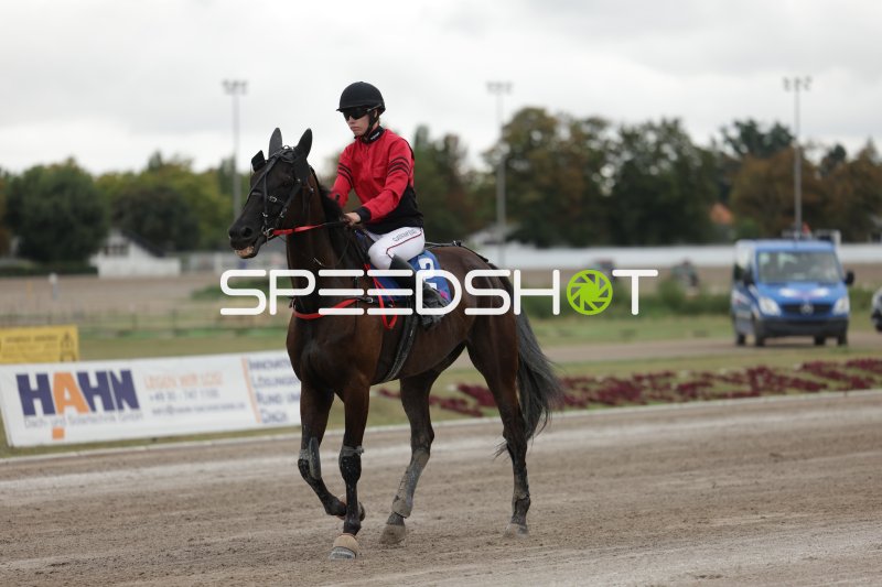 Jockey mit Startnummer 2 auf der Rennbahn Berlin Mariendorf