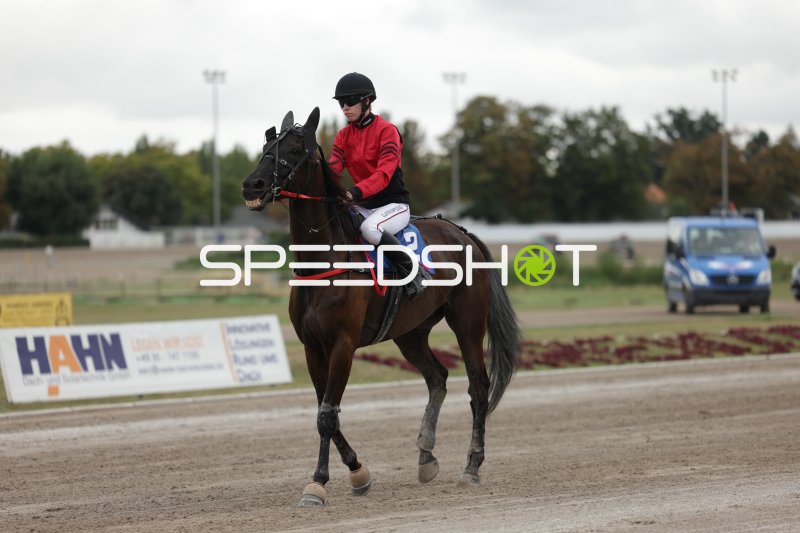 Jockey auf Pferd #2 nach dem Rennen auf der Rennbahn Berlin Mariendorf