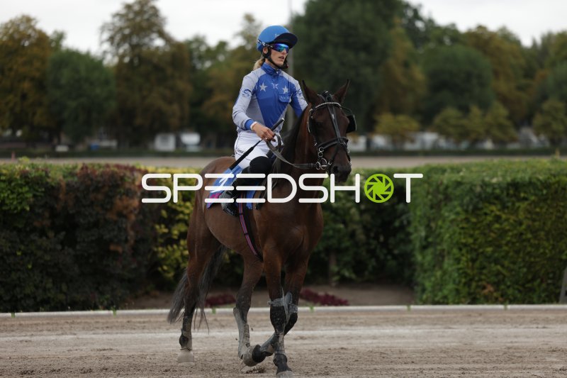 Jockey auf braunem Pferd bei der Rennbahn Berlin Mariendorf
