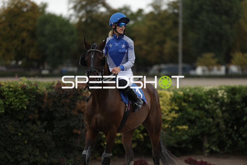 Jockey auf braunem Pferd beim Einlaufen in Mariendorf