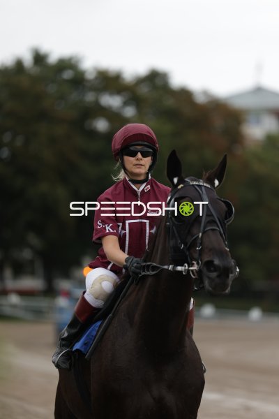 Jockey Sarah K. auf dunklem Pferd auf der Rennbahn Berlin Mariendorf