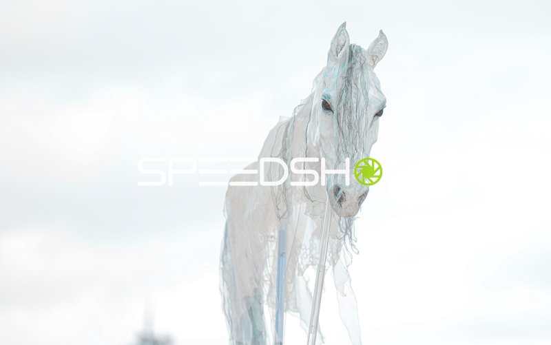 Kunstinstallation Pferd aus transparentem Material auf der Rennbahn Berlin Mariendorf