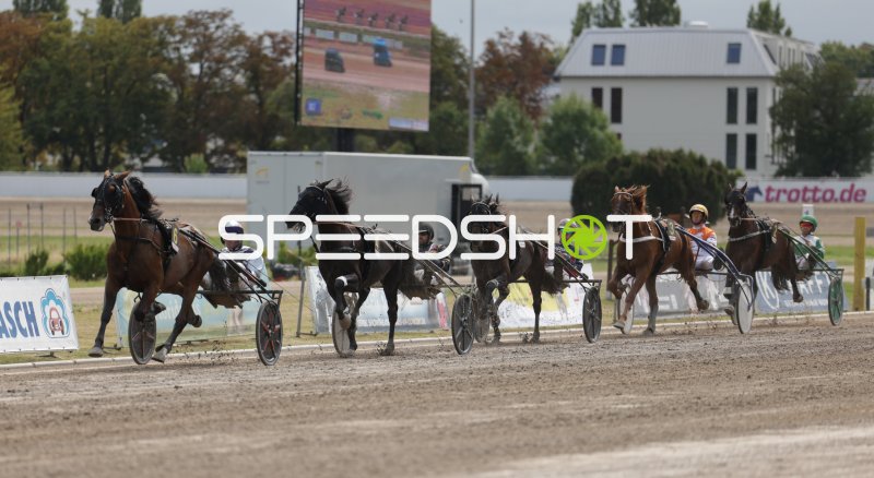 Trabrennen auf der Rennbahn Berlin Mariendorf – Sulky-Feld in voller Fahrt