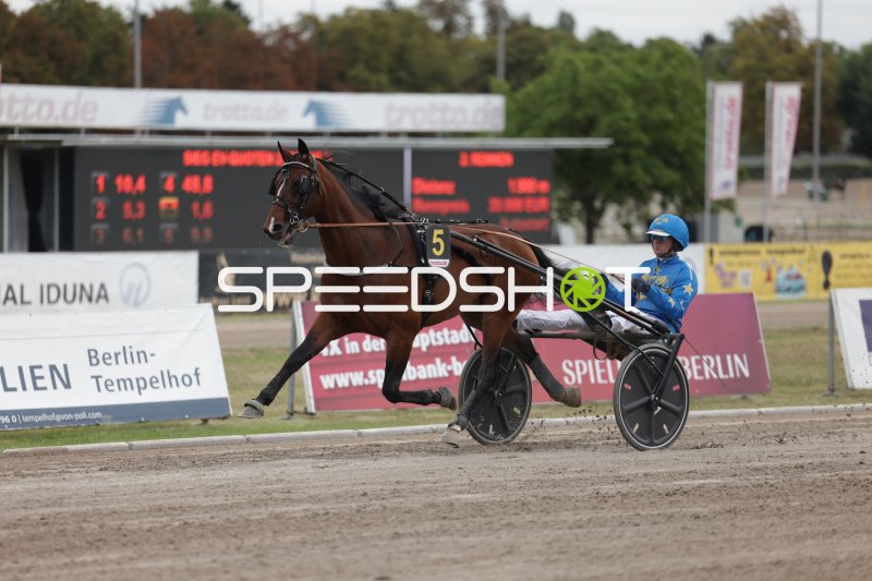 Trabrennen auf der Rennbahn Berlin-Mariendorf – Startnummer 5 im Galopp