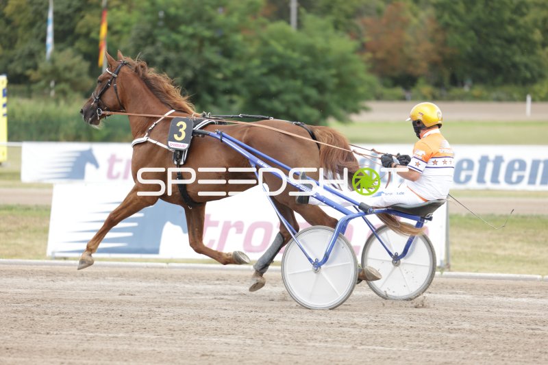 Trabrennen auf der Rennbahn Berlin Mariendorf – Startnummer 3 im Galopp