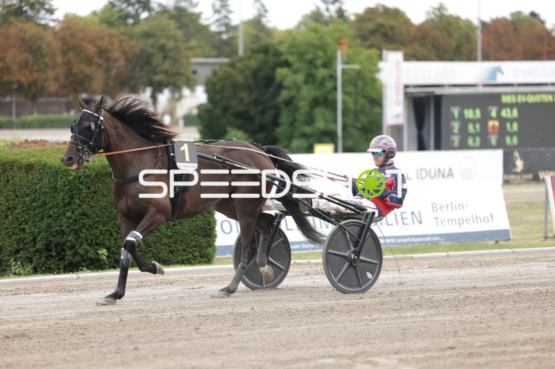 Trabrennen auf der Rennbahn Berlin Mariendorf – Startnummer 1 im Galopp