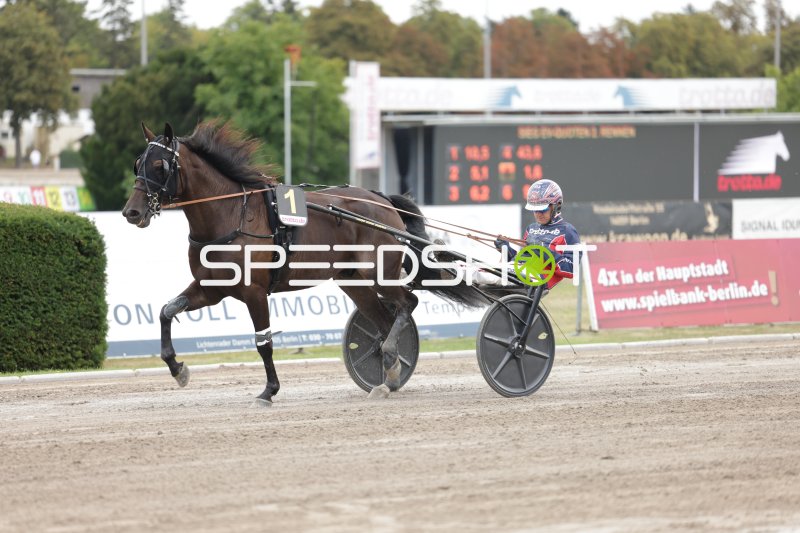Trabrennen Startnummer 1 im Galopp auf der Rennbahn Berlin Mariendorf