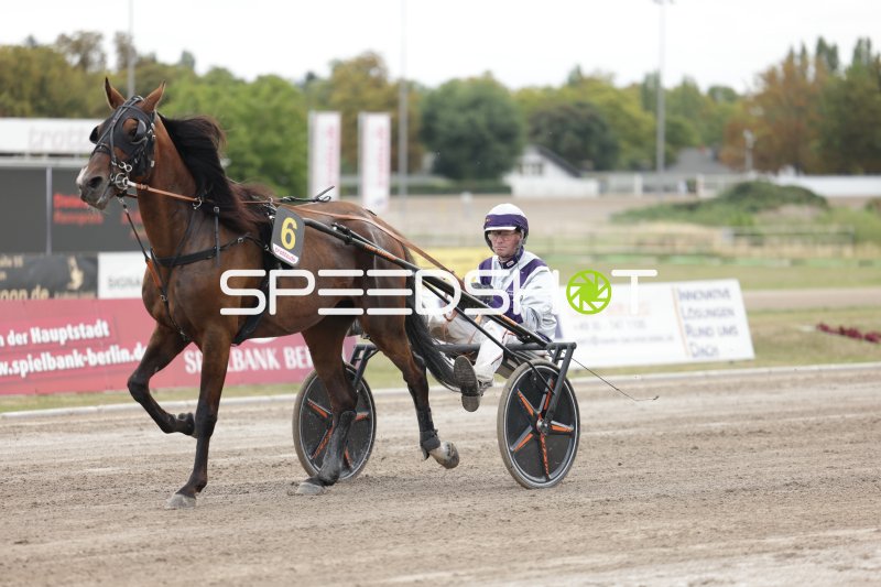 Trabrennen auf der Rennbahn Berlin Mariendorf – Startnummer 6 im Galopp