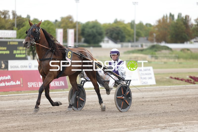 Trabrennen Startnummer 6 im Galopp auf der Rennbahn Berlin Mariendorf