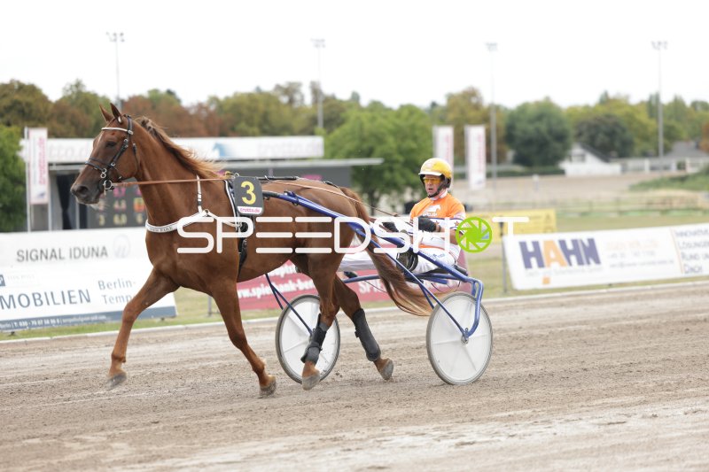 Trabrennen auf der Rennbahn Berlin Mariendorf – Startnummer 3 im Galopp
