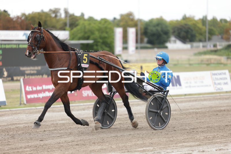 Trabrennen auf der Rennbahn Berlin Mariendorf – Starter Nummer 5 im Galopp