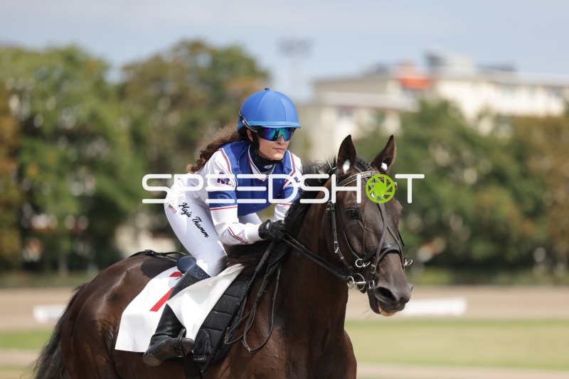 Jockey auf dunklem Pferd bei Ausritt auf der Rennbahn Mariendorf