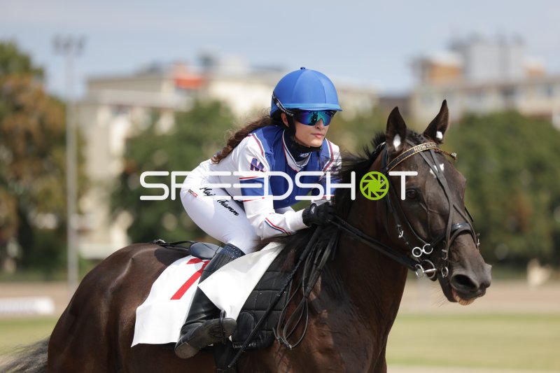 Jockey auf dunklem Pferd bei Rennen in Berlin Mariendorf