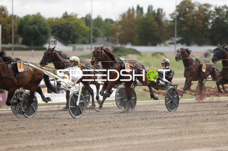 Trabrennen auf der Rennbahn Berlin Mariendorf – Starkes Feld im Galopp