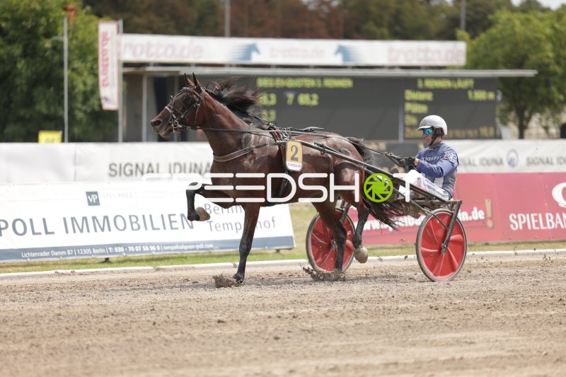 Trabrennen auf der Rennbahn Berlin Mariendorf – Starter Nummer 2 im Galopp