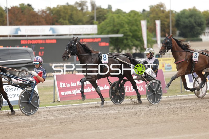 Trabrennen auf der Rennbahn Berlin Mariendorf – Sulky Nr. 8 im Rennen