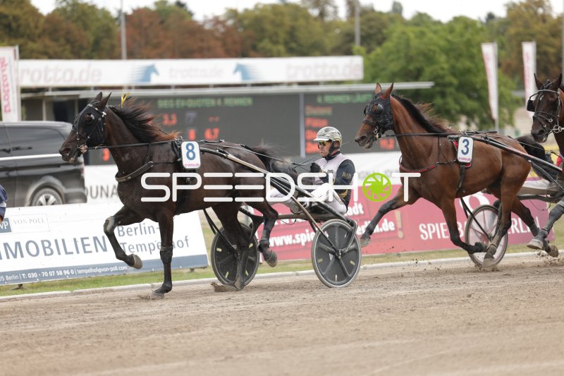Trabrennen auf der Rennbahn Berlin Mariendorf – Sulky Nr. 8 im Rennen