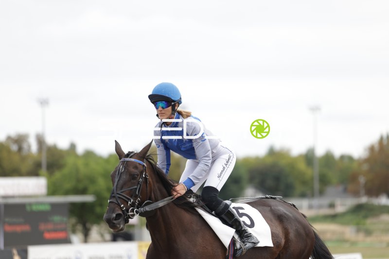 Hannah Schmitz (#5) im Galopp auf der Rennbahn Berlin Mariendorf