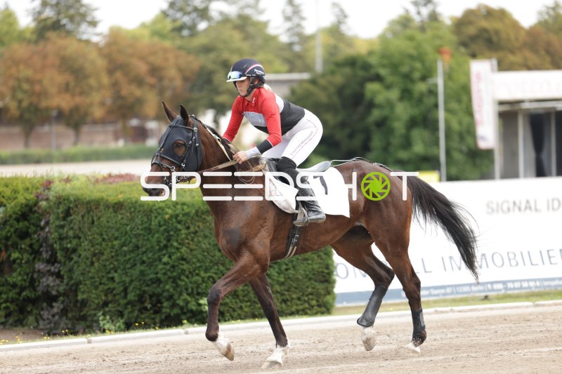 Jockey (#7) im Galopp auf der Rennbahn Berlin Mariendorf
