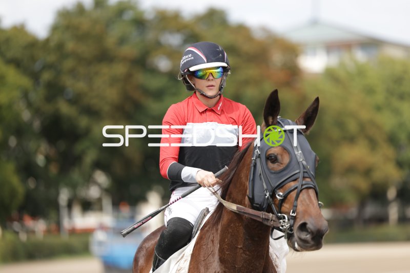 Jockeyrin auf braunem Pferd bei der Rennbahn Berlin Mariendorf