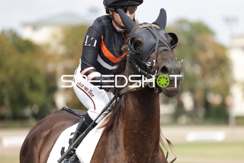 Jockey Luca van Toor auf der Rennbahn Berlin Mariendorf