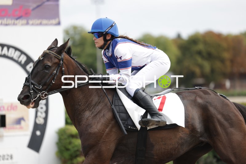 Jockey auf dunklem Pferd beim Rennen in Mariendorf