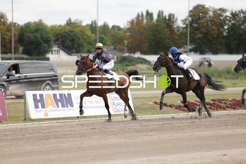 Jockeys im Kopf-an-Kopf-Rennen auf der Rennbahn Berlin Mariendorf