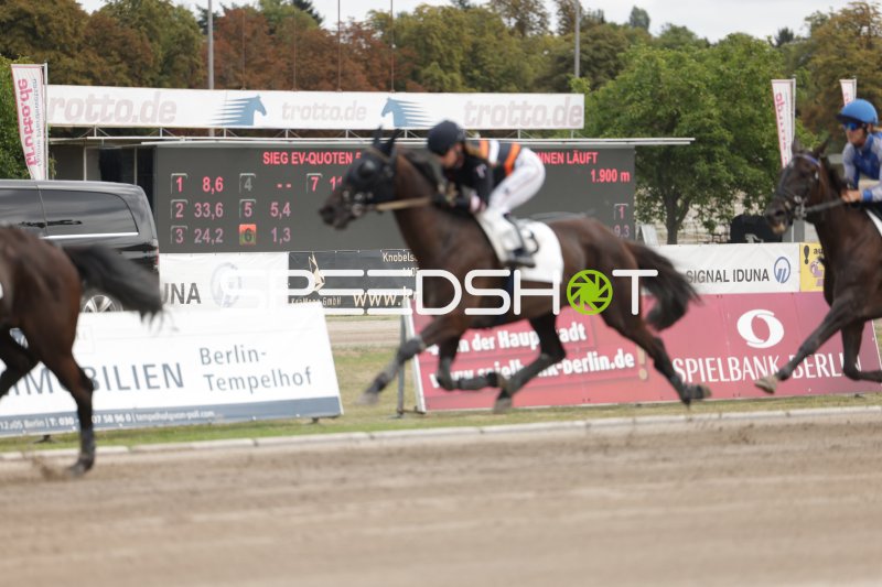 Trabrennen auf der Rennbahn Berlin Mariendorf – Jockey im Galopp