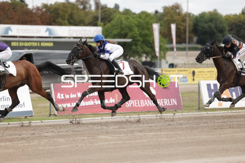 Jockey (#7) im Galopp auf der Rennbahn Berlin Mariendorf