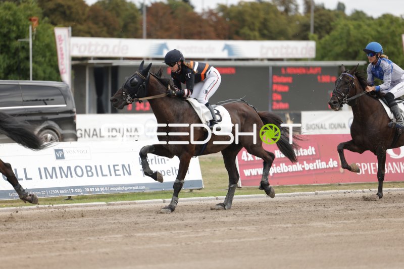 Trabrennen auf der Rennbahn Berlin-Mariendorf – Jockey auf Pferd Nr. 8 in Führung