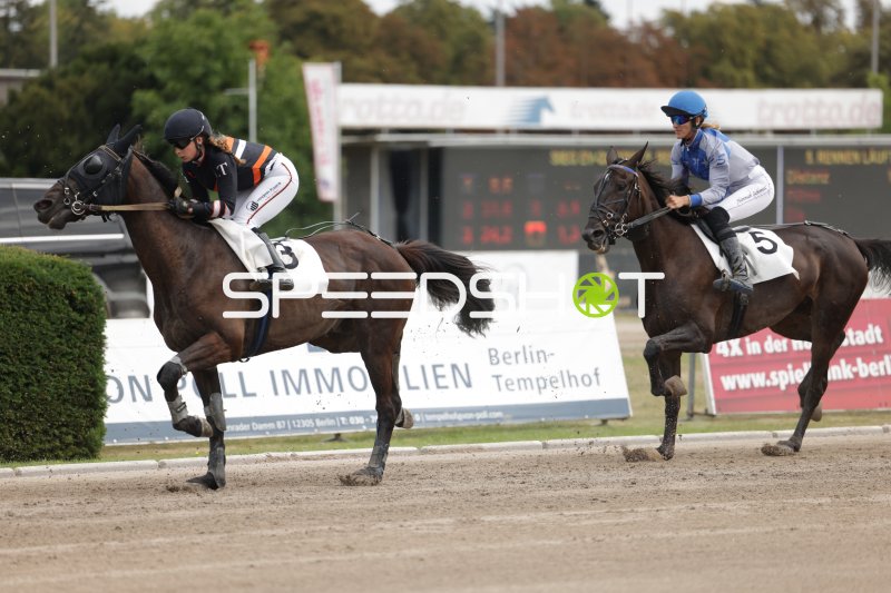Galopprennen auf der Rennbahn Berlin-Mariendorf – Pferd #3 führt