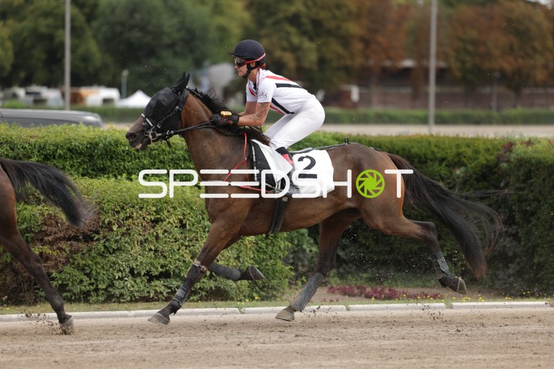 Jockey (#2) im Galopp auf der Rennbahn Berlin Mariendorf