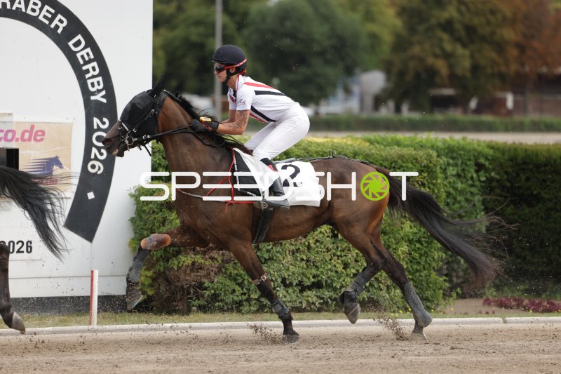 Jockey auf Pferd #2 im Galopp beim Araber Derby Berlin