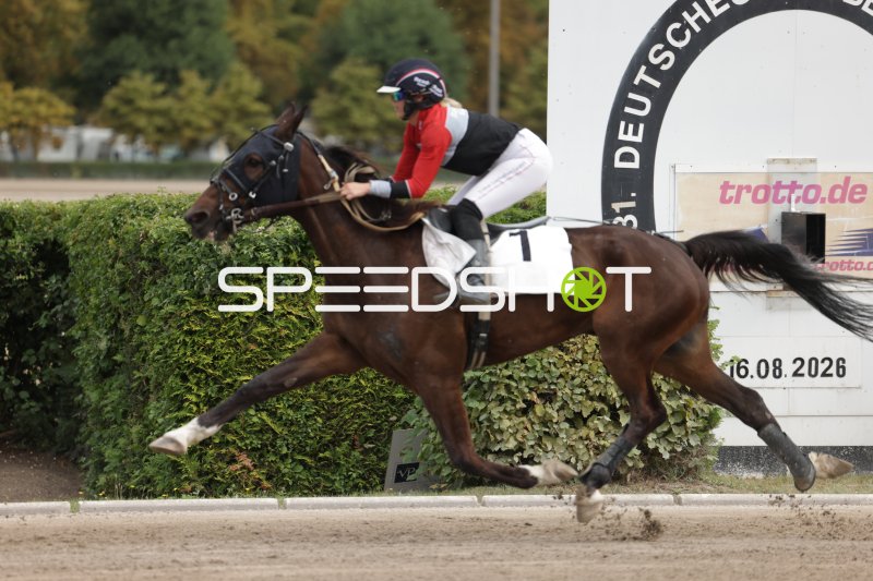 Jockey mit Startnummer 7 im vollen Galopp auf der Rennbahn Berlin Mariendorf