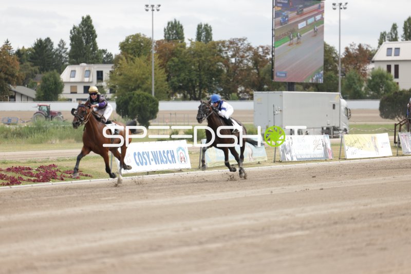 Zwei Jockeys im Galopp auf der Sandbahn in Mariendorf