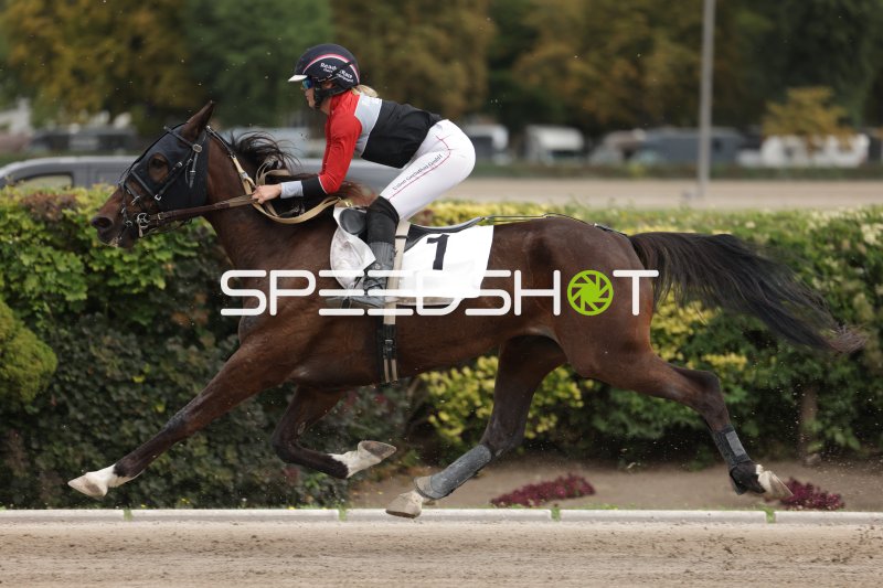 Jockey (#1) im vollen Galopp auf der Rennbahn Berlin Mariendorf