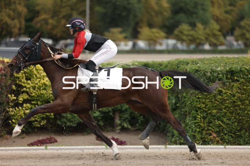 Jockey mit Startnummer 1 im vollen Galopp auf der Rennbahn Mariendorf