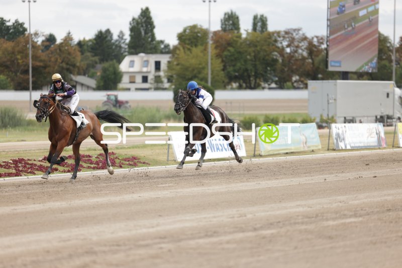Zwei Jockeys im Kopf-an-Kopf-Rennen auf der Rennbahn Mariendorf