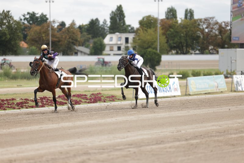 Zwei Jockeys im Kopf-an-Kopf-Rennen auf der Rennbahn Berlin Mariendorf