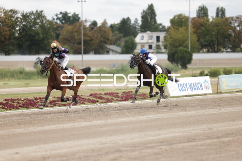 Zwei Jockeys im Kopf-an-Kopf-Rennen auf der Rennbahn Berlin Mariendorf