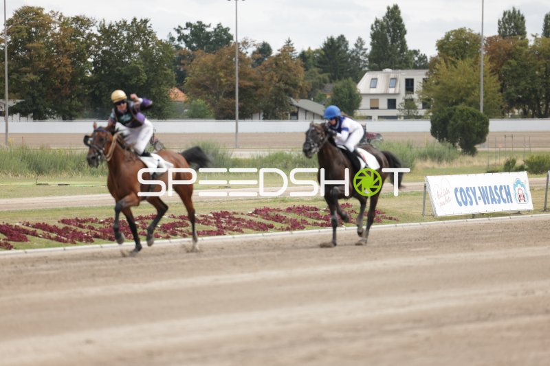 Zwei Jockeys im Galopp auf der Rennbahn Berlin Mariendorf