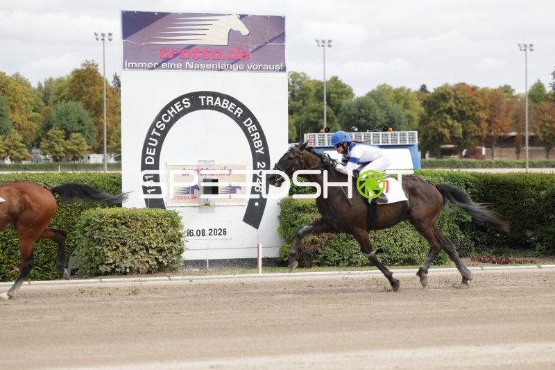 Pferd #7 im Galopp beim Deutschen Traber Derby auf der Rennbahn Mariendorf