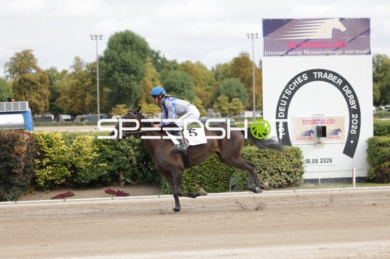 Startnummer 5 im Galopp auf der Rennbahn Berlin Mariendorf
